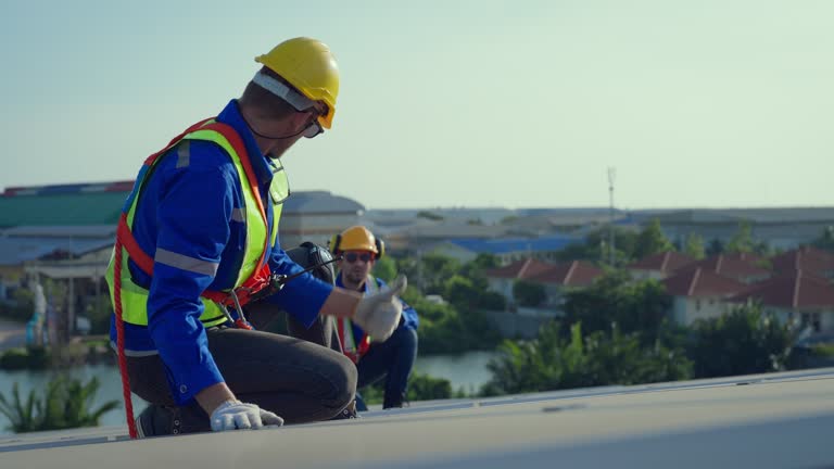 Best Skylight Installation and Repair  in Apple Valley, UT